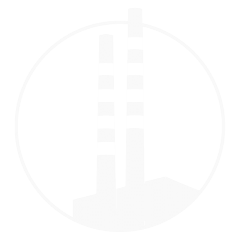 The Dublin Software Company Logo